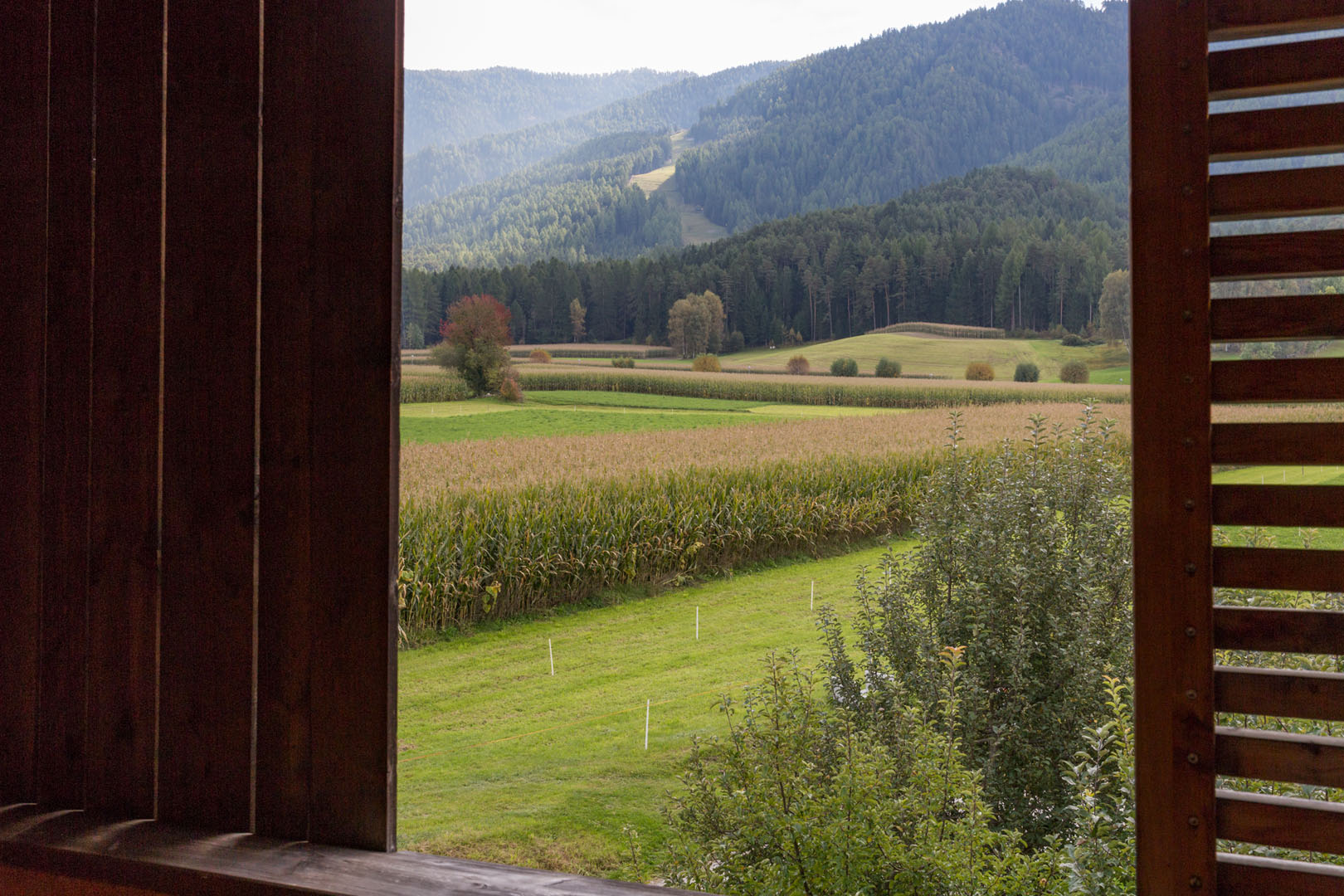 Ausblick vom Balkon